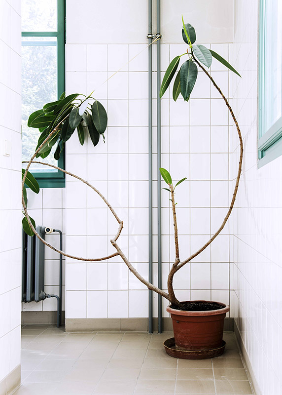 ⓒ박희자, It Art school project, nr23cz, Inkjet Print, 70x50cm, 2015.jpg