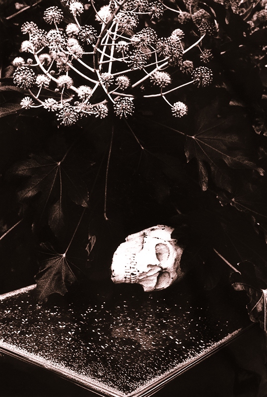 ⓒ김복만, 묵언, Gelatin Silver Print, 50.8x40.6cm, 1974-2006.jpg