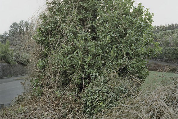 ⓒ 김옥선, Untitled_daepo1170, Digital C-Print, 125x100cm, 2014.jpg