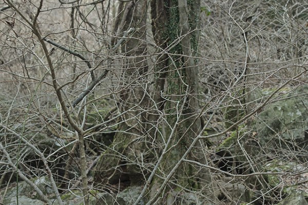 ⓒ 김옥선, Untitled_seonhle693, Digital C-Print, 125x100cm, 2016.jpg