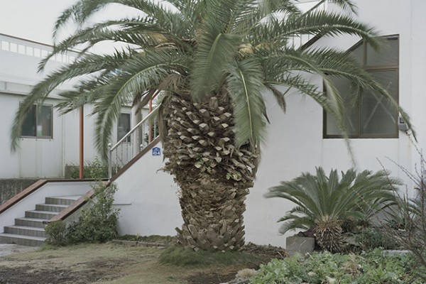 ⓒ 김옥선, Local_beopwhan225, Digital C-Print, 100x80cm, 2014.jpg