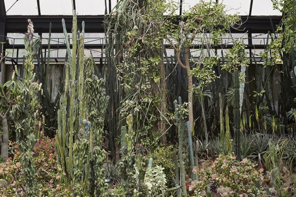 ⓒ Heeseung Chung, Untitled, Archival Pigment Print, 213x158cm, 2013.jpg