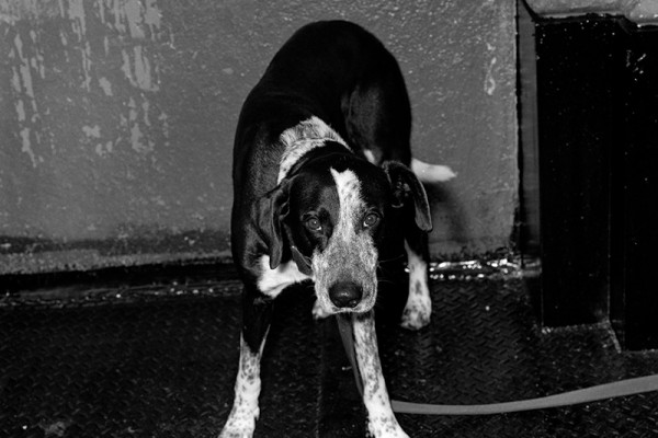 14. ⓒ Byun SoonChoel, New York.1998.jpg