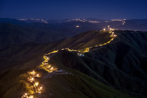 6. ⓒ박종우, DMZ_Forbidden Forest 2, Archival Pigment Print.jpg