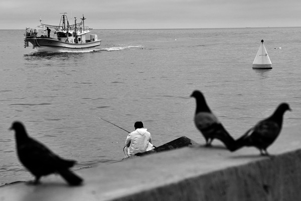 ©박종우, 기억의 소환 8.JPG