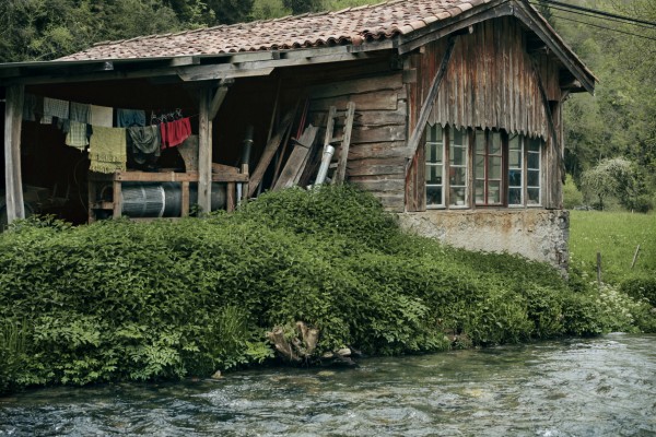 6. ⓒ Pierre Hybre, La Vie Sauvage027, Pigment Print, 2015.JPG