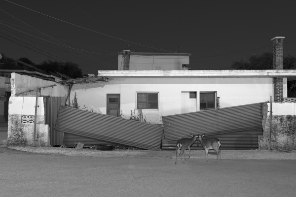 NOCTURAMA_08_SRGB .jpg