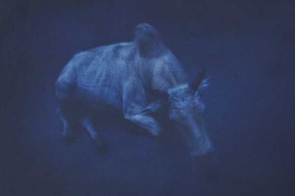 19_La vache sacrée_1997.jpg