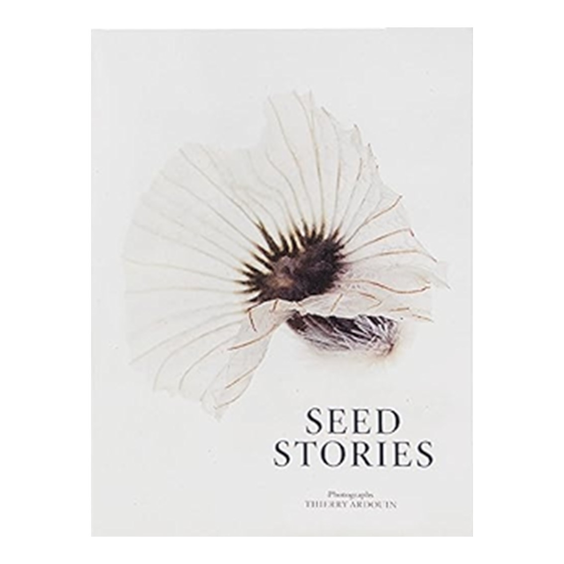 SEED STORIES