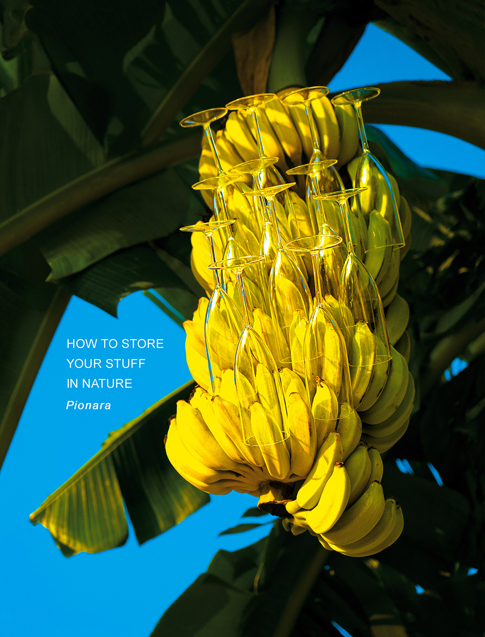 HOW TO STORE YOUR STUFF IN NATURE