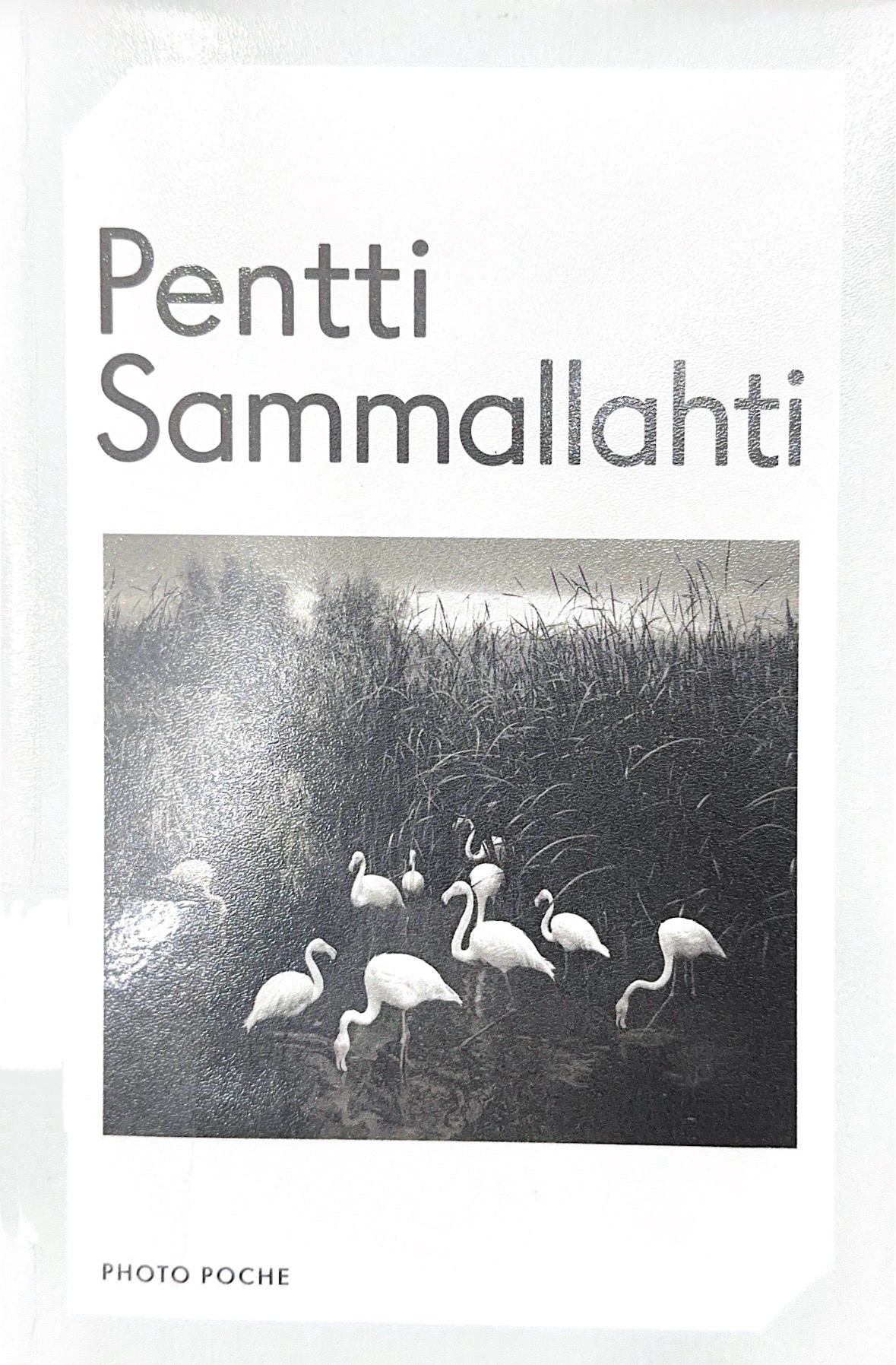 Pentti Sammallahti