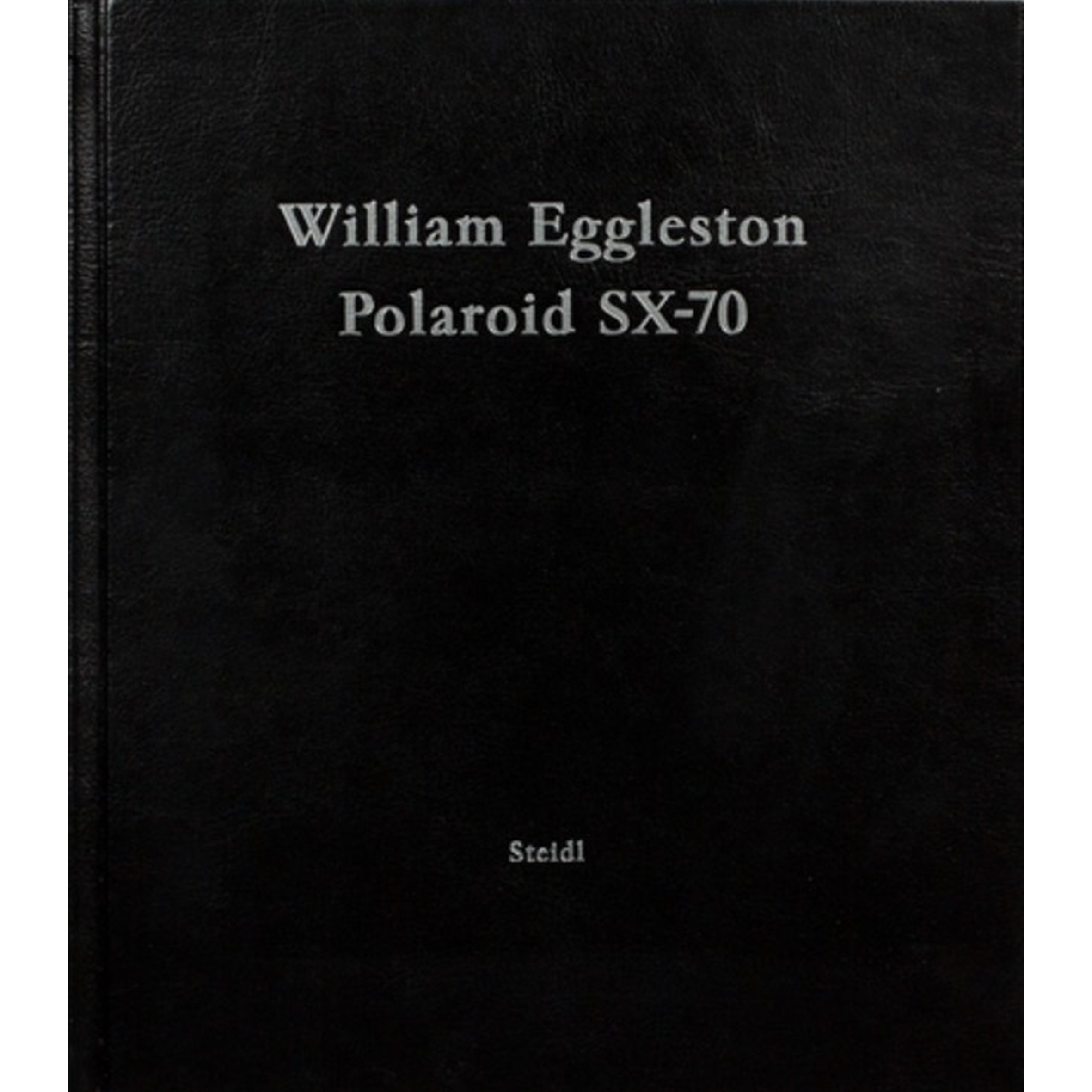 William Eggleston Polaroid SX-70