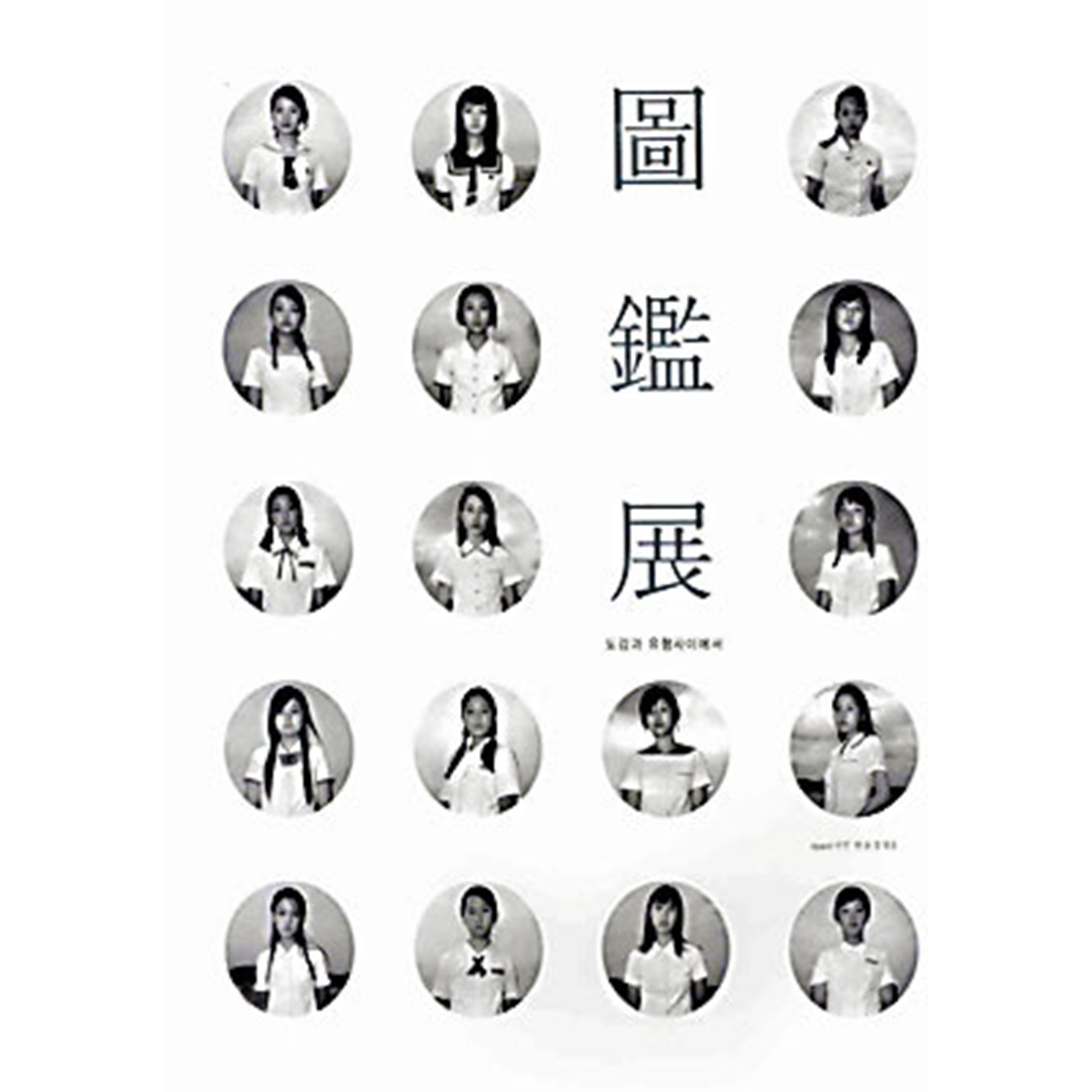 도감전:도감과 유형 사이에서