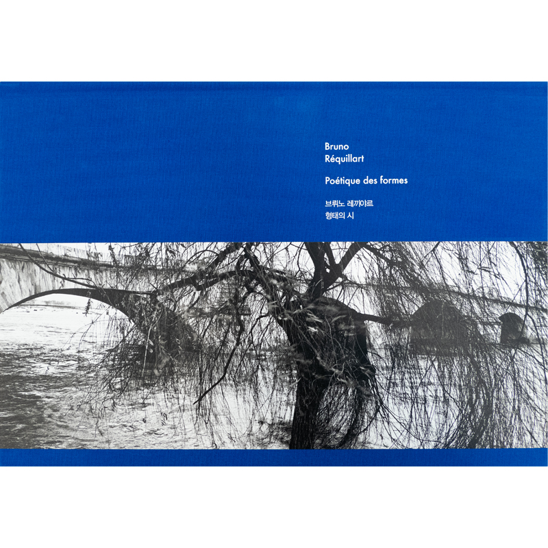 브뤼노 레끼야르. 형태의 시
